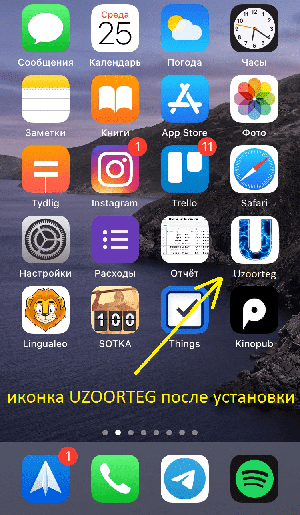 иконка uzoorteg на рабочем столе