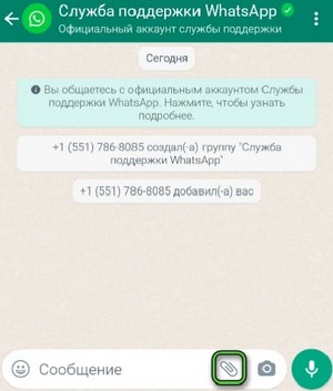 Служба поддержки WhatsApp чат