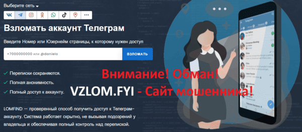 обзор сайта vzlom.fyi